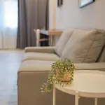 Halo Uno Apartamento